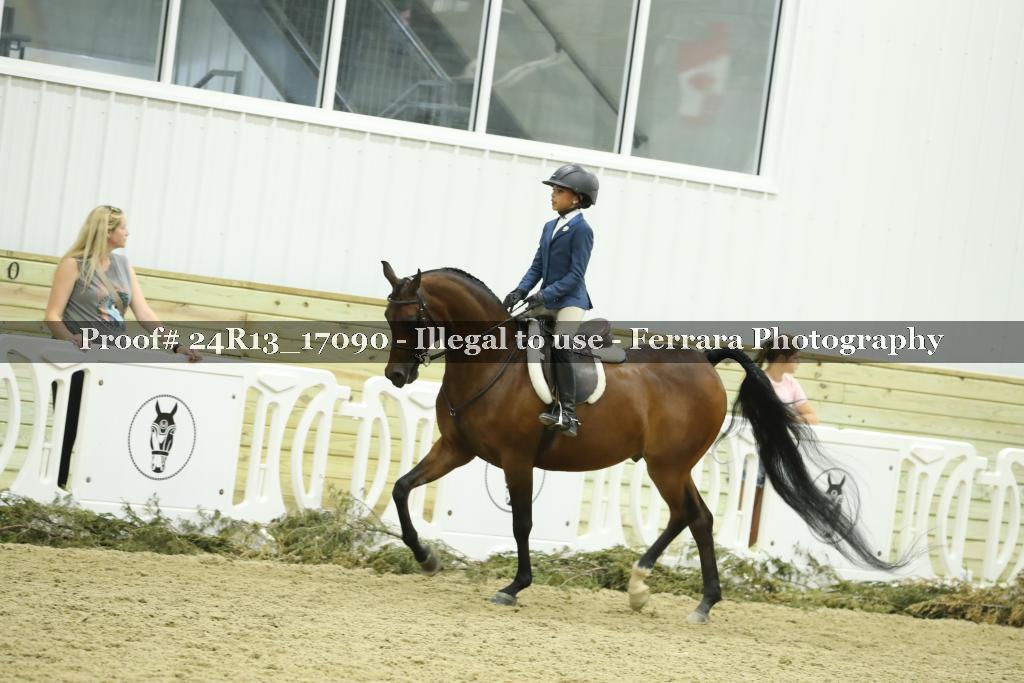 Proof Number 24R13_17090