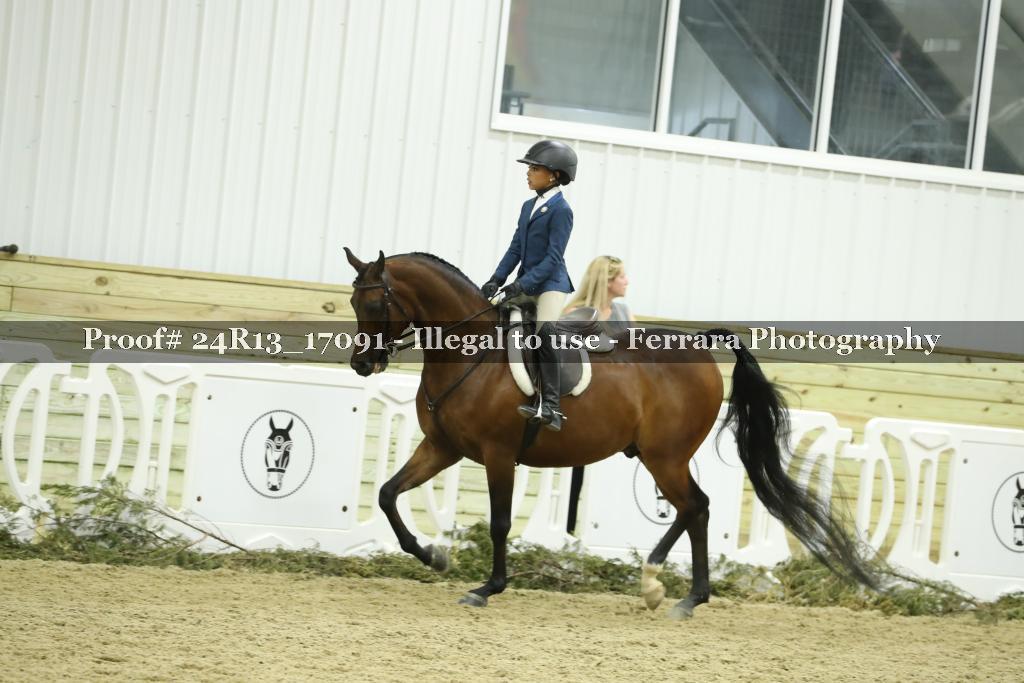 Proof Number 24R13_17091