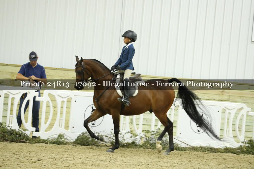 Proof Number 24R13_17092