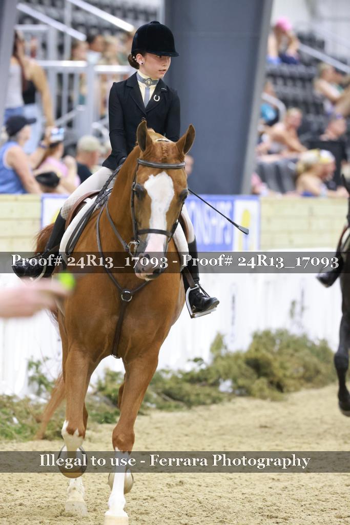 Proof Number 24R13_17093