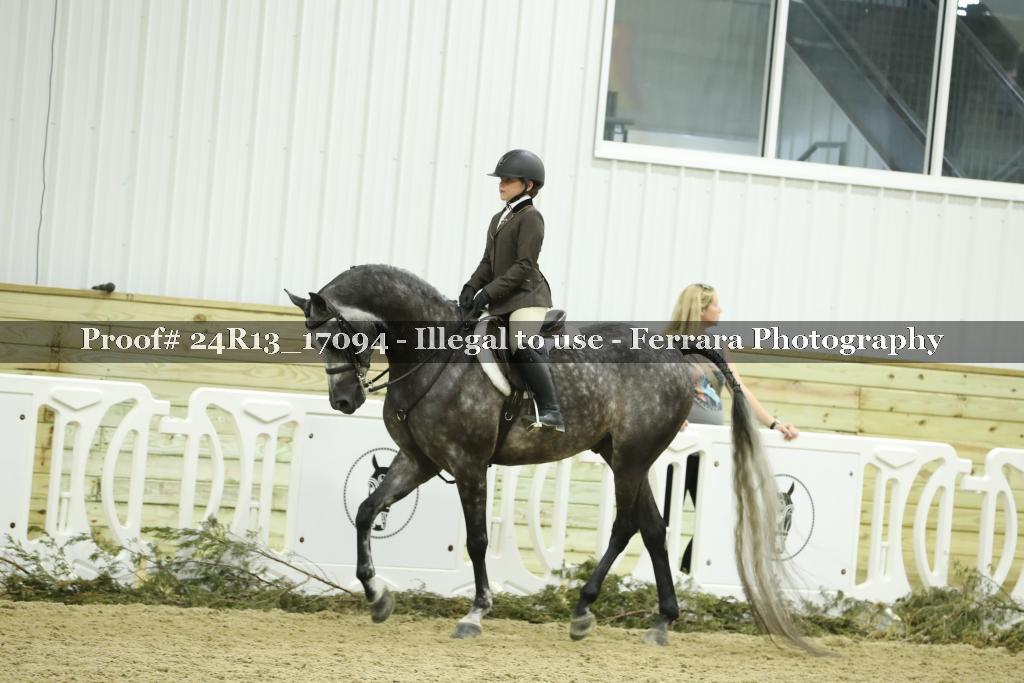 Proof Number 24R13_17094
