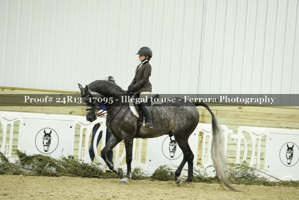 Proof Number 24R13_17095