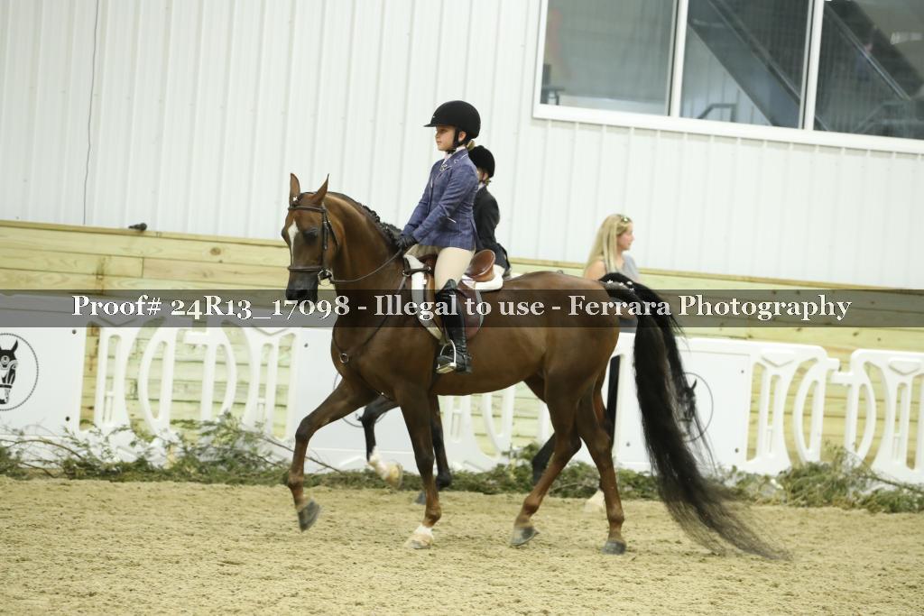 Proof Number 24R13_17098