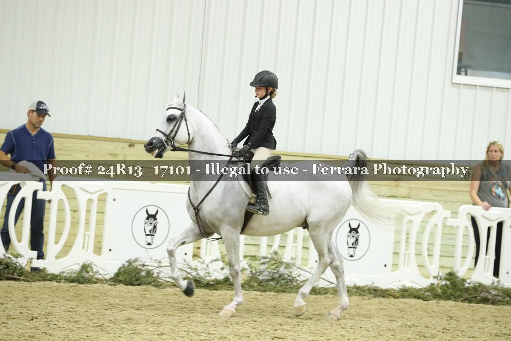 Proof Number 24R13_17101