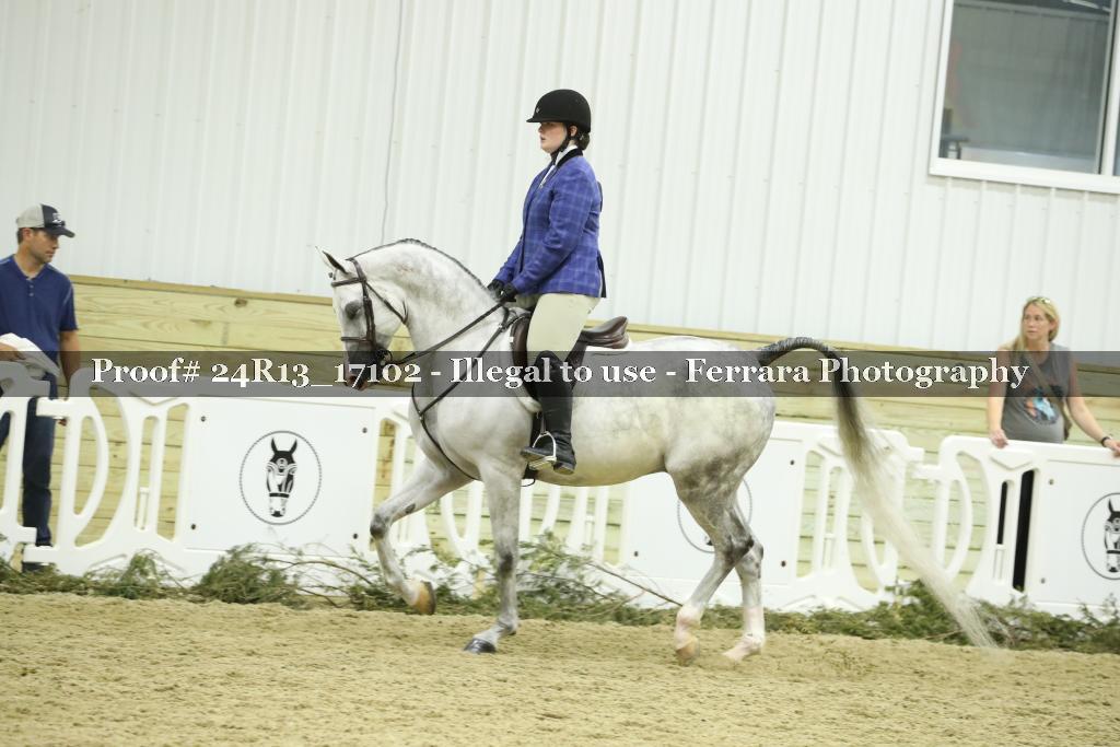 Proof Number 24R13_17102