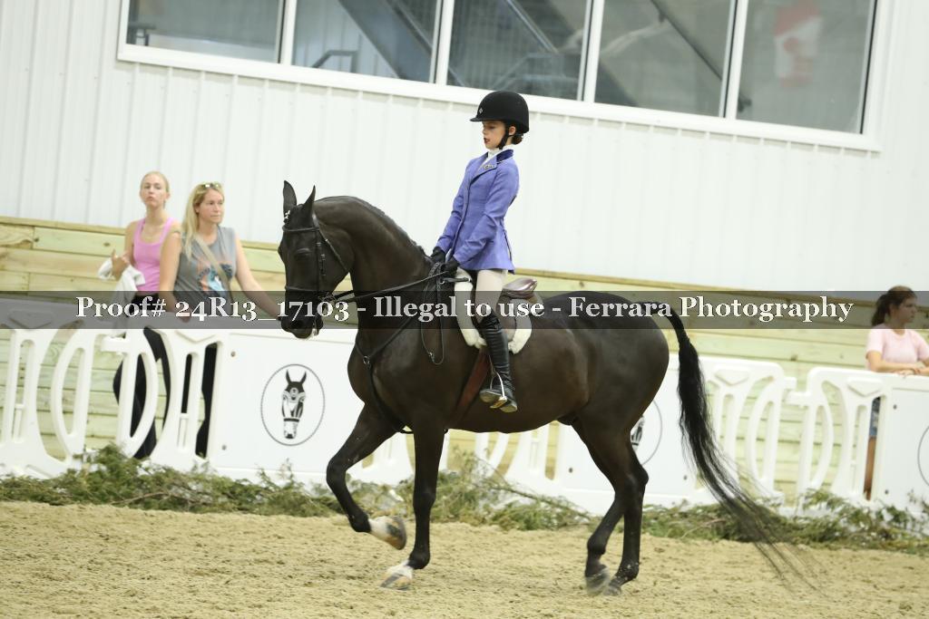 Proof Number 24R13_17103