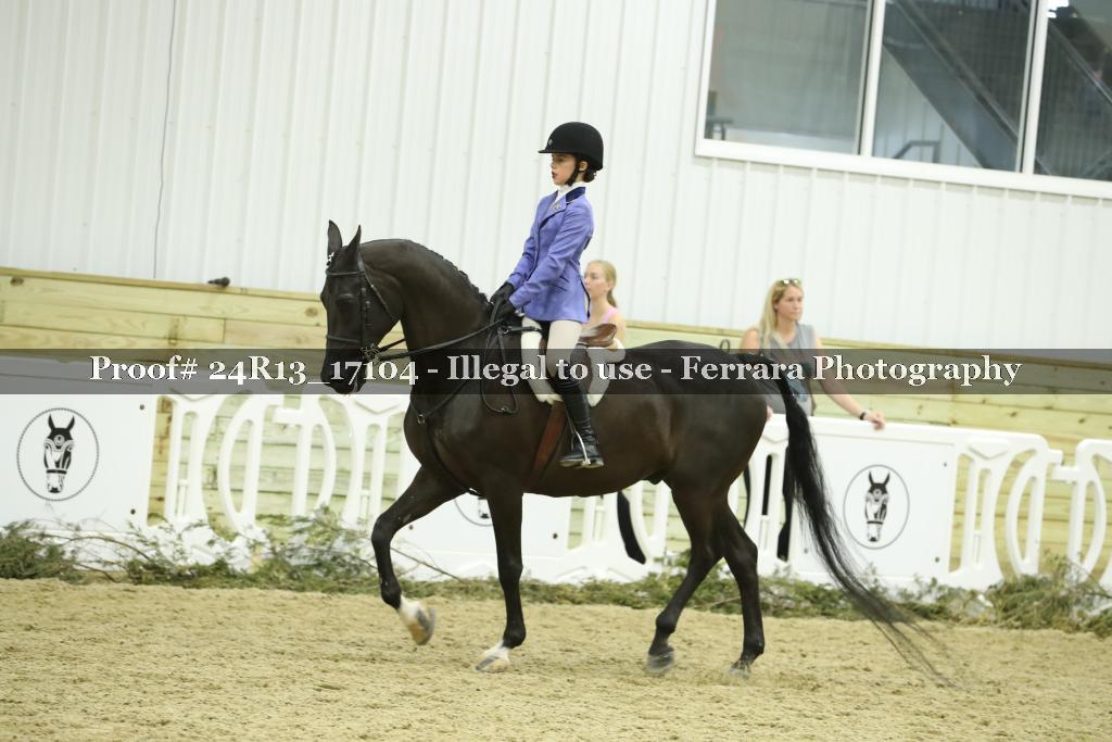 Proof Number 24R13_17104