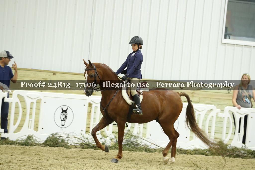 Proof Number 24R13_17106