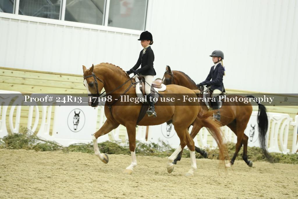Proof Number 24R13_17108