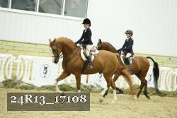 24R13_17108 thumbnail