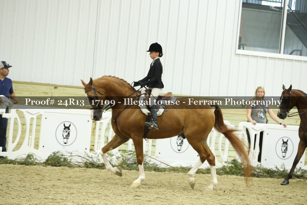 Proof Number 24R13_17109