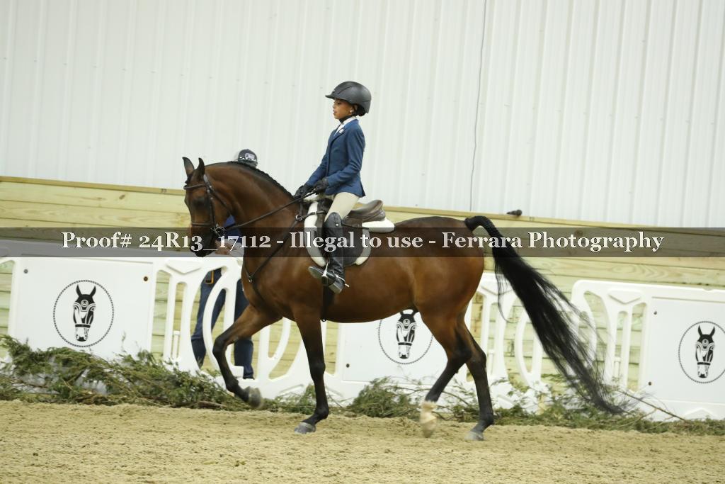 Proof Number 24R13_17112