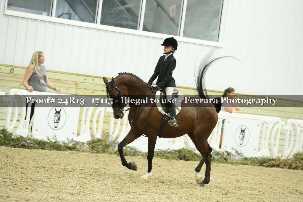 Proof Number 24R13_17115