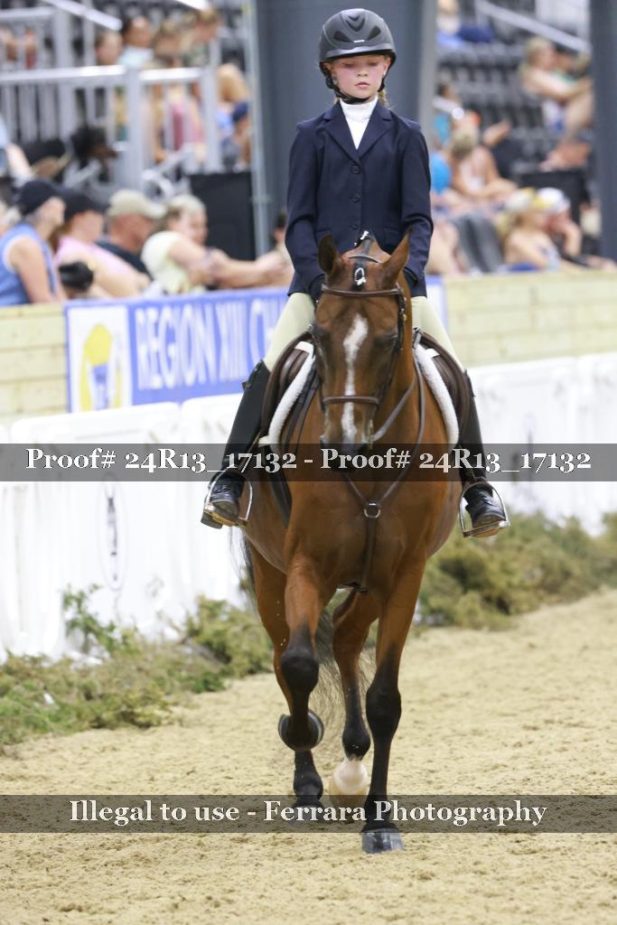 Proof Number 24R13_17132