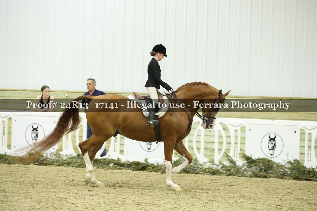 Proof Number 24R13_17141
