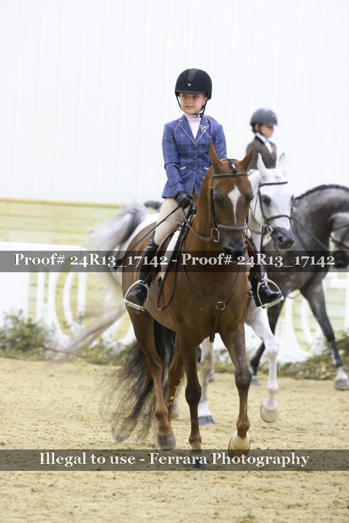 Proof Number 24R13_17142