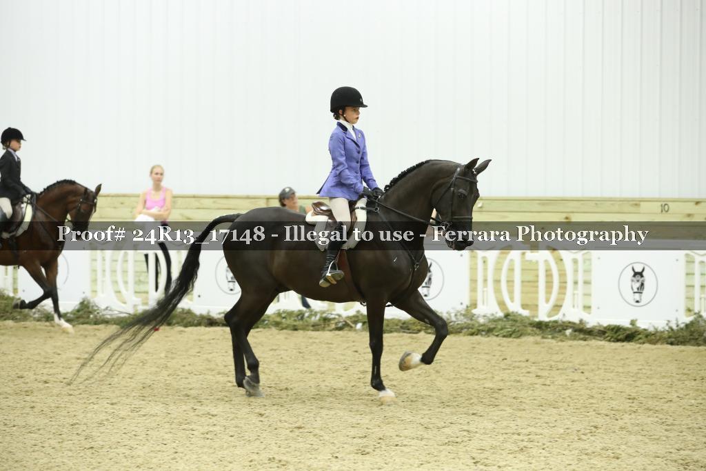 Proof Number 24R13_17148