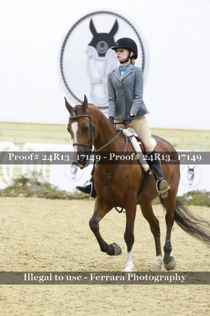 Proof Number 24R13_17149