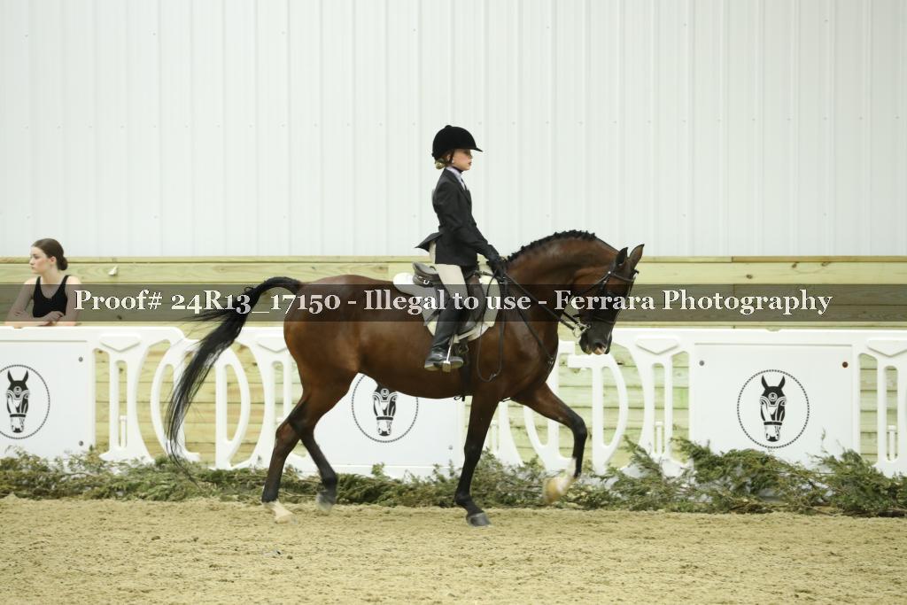 Proof Number 24R13_17150