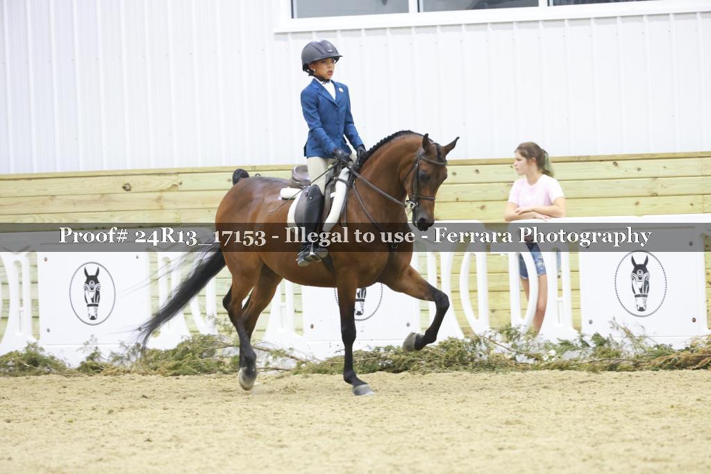 Proof Number 24R13_17153