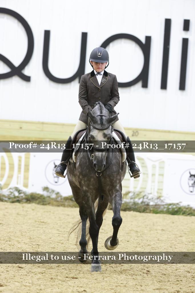 Proof Number 24R13_17157