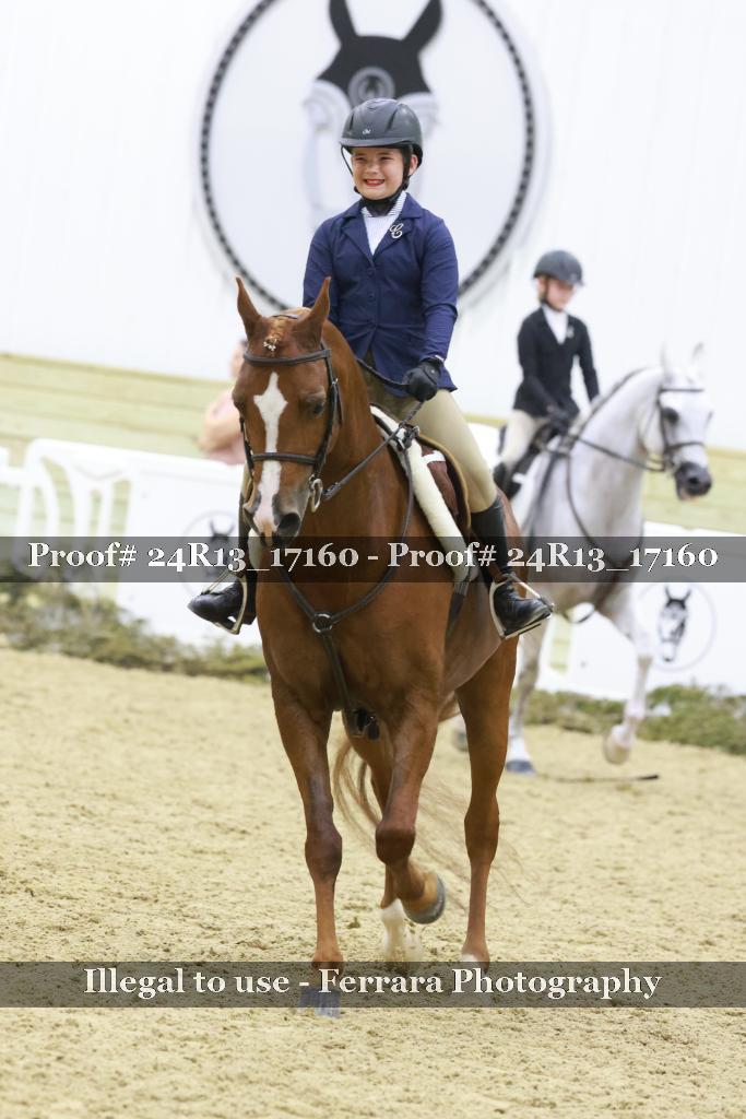 Proof Number 24R13_17160