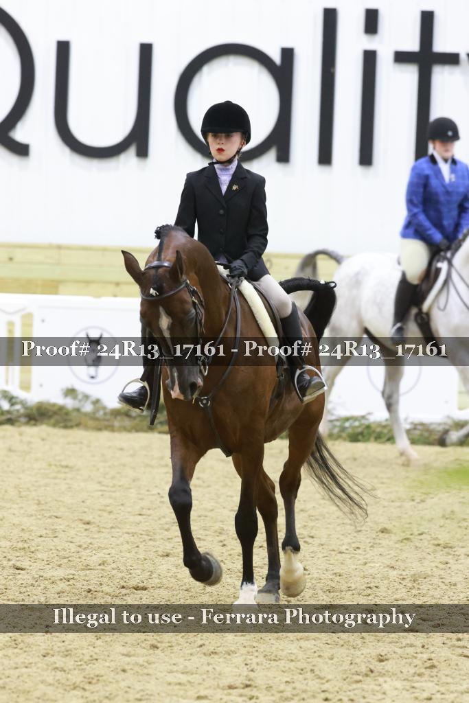 Proof Number 24R13_17161