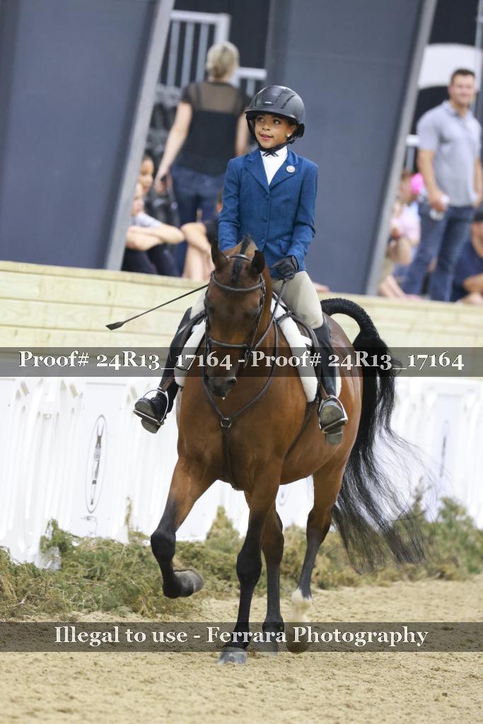 Proof Number 24R13_17164