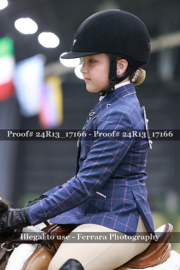 Proof Number 24R13_17166