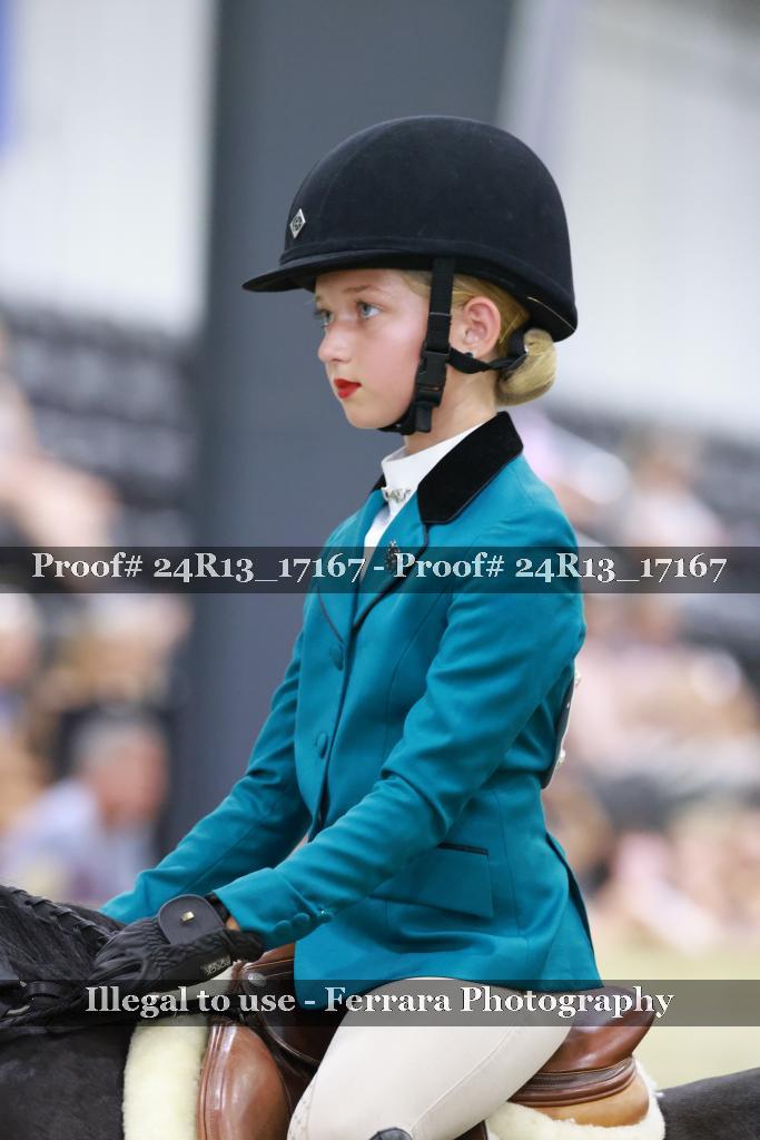 Proof Number 24R13_17167