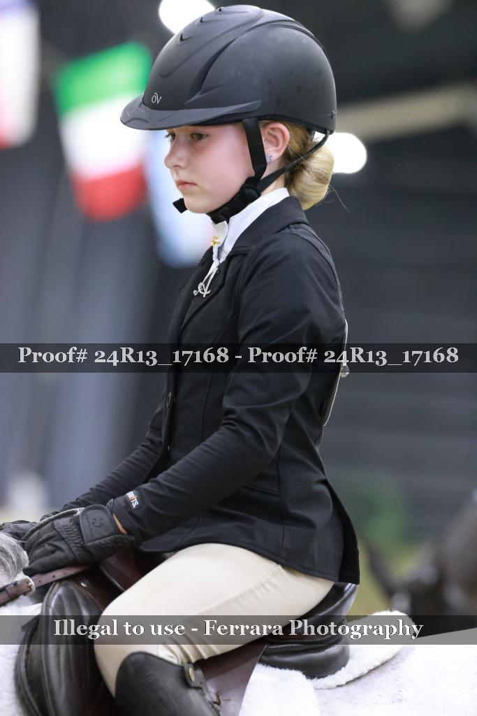 Proof Number 24R13_17168