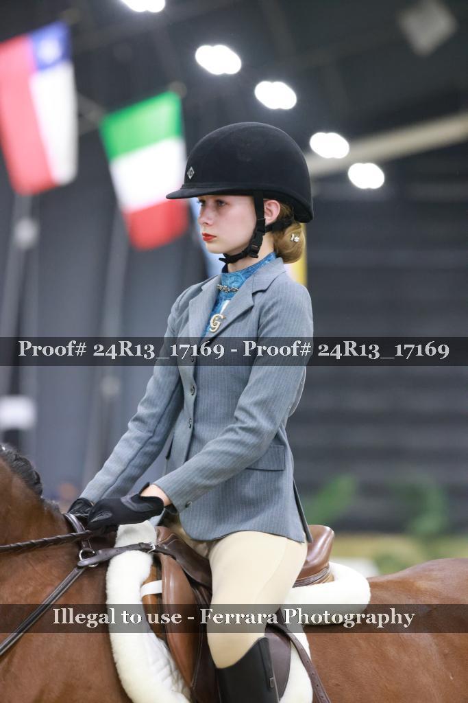 Proof Number 24R13_17169