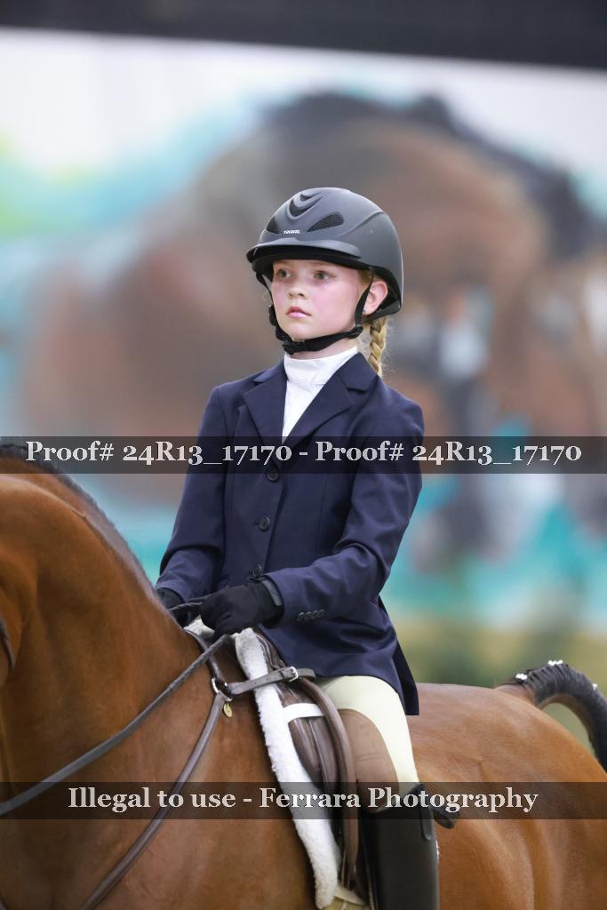 Proof Number 24R13_17170