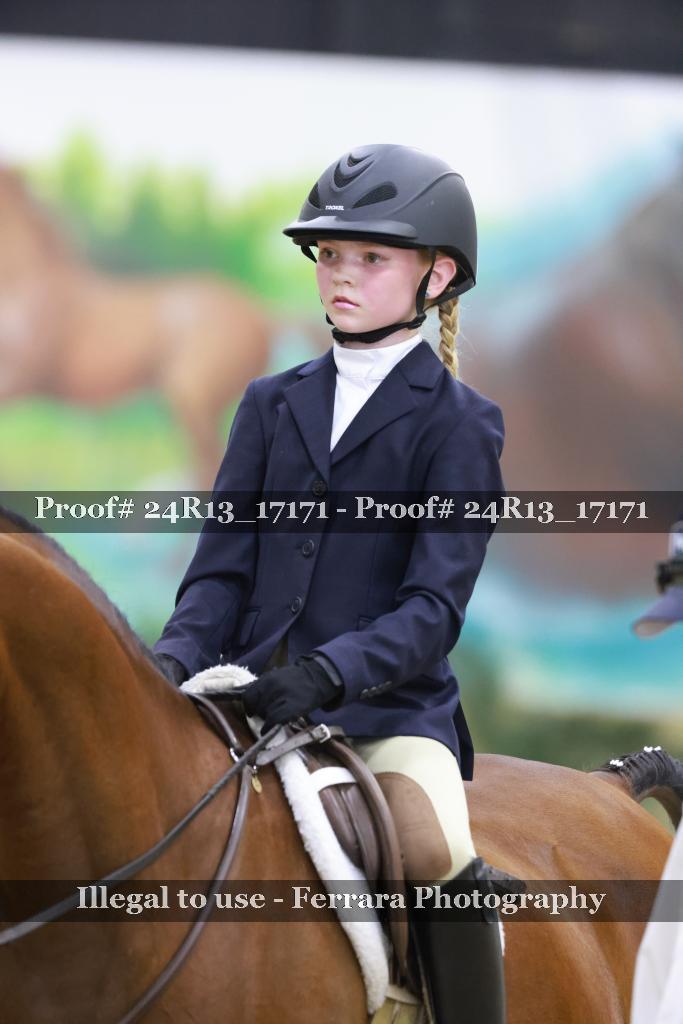 Proof Number 24R13_17171