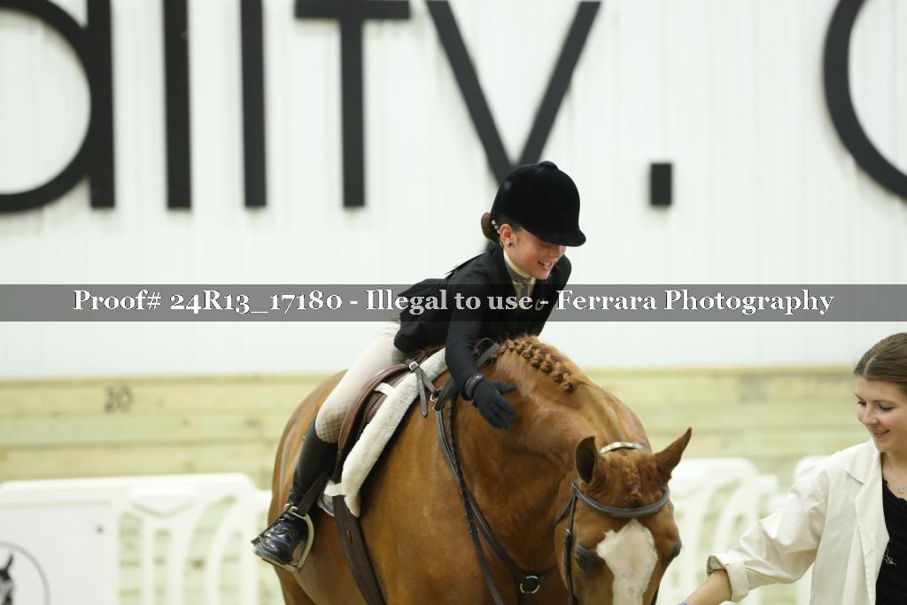 Proof Number 24R13_17180