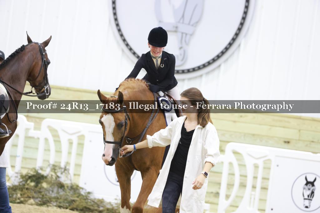 Proof Number 24R13_17183