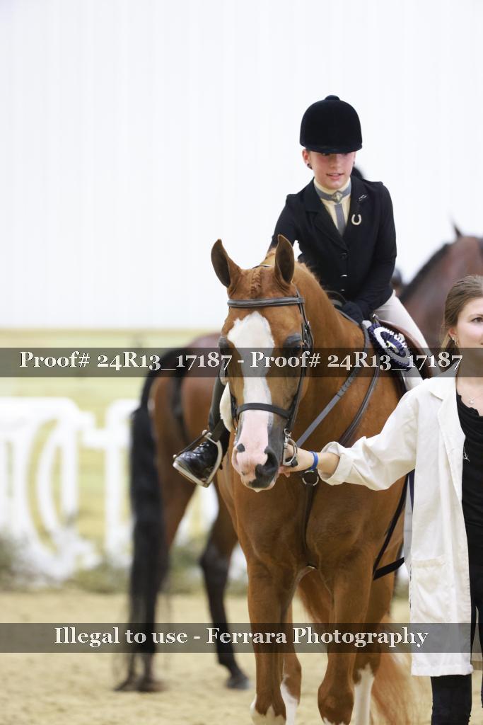 Proof Number 24R13_17187