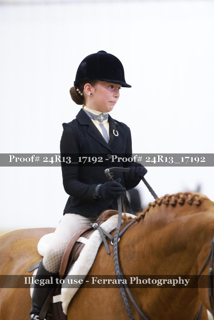 Proof Number 24R13_17192