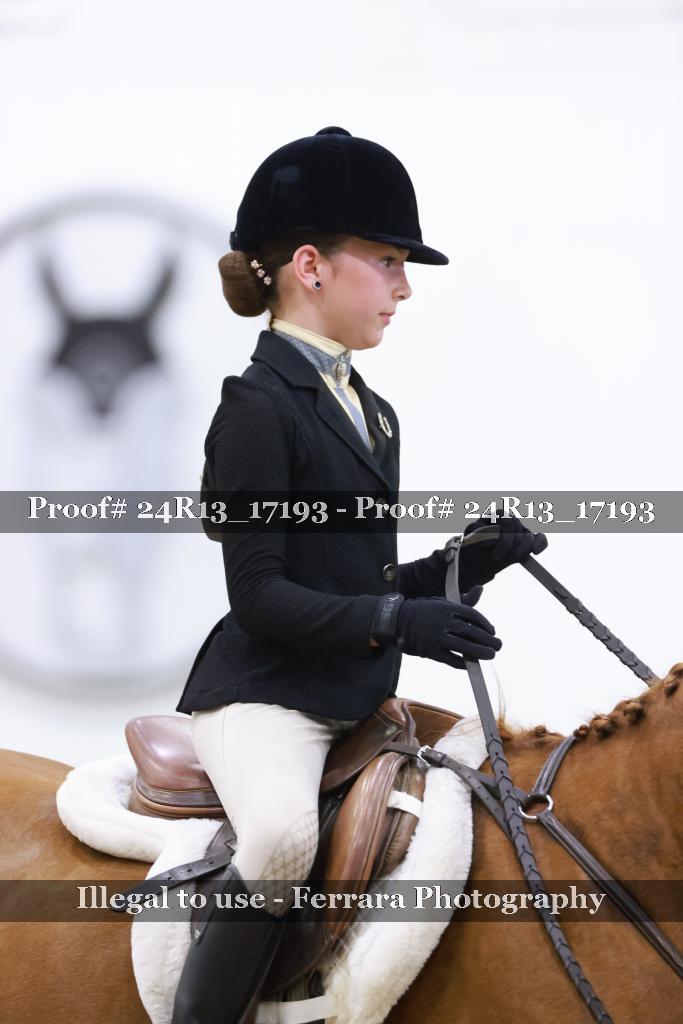 Proof Number 24R13_17193