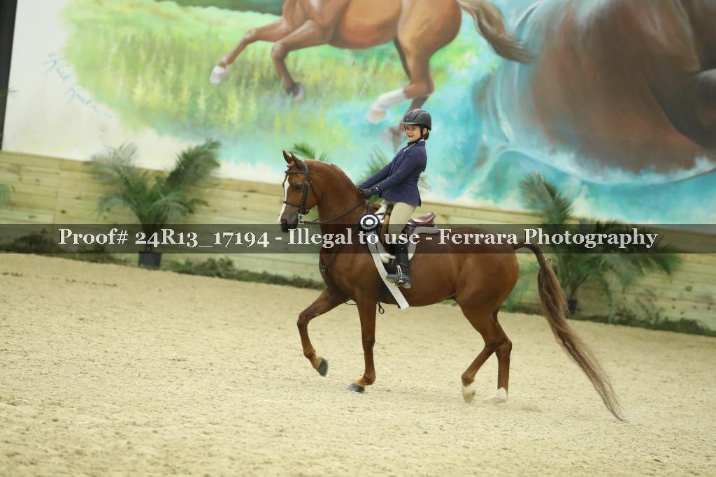 Proof Number 24R13_17194