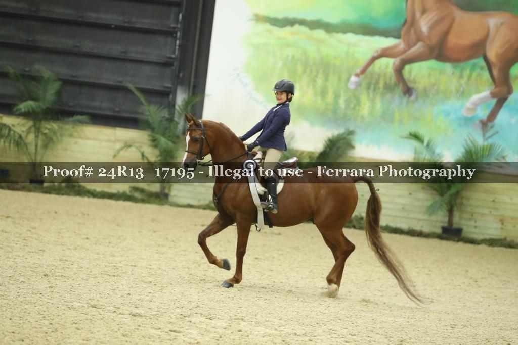 Proof Number 24R13_17195