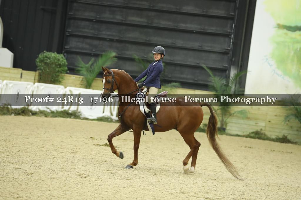 Proof Number 24R13_17196