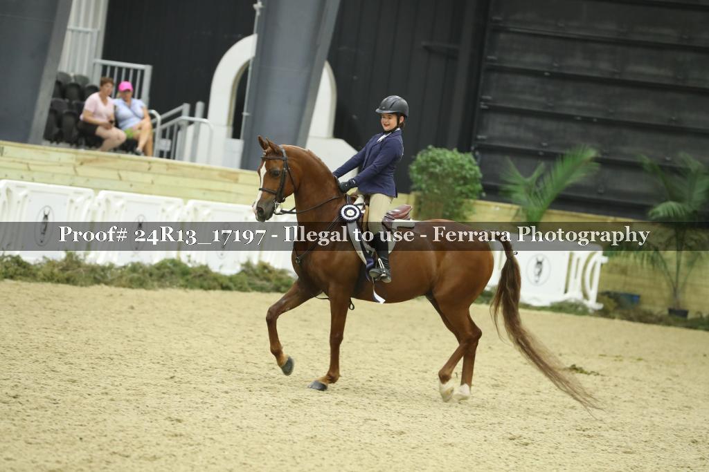 Proof Number 24R13_17197