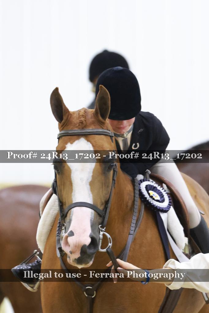 Proof Number 24R13_17202