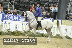 24R13_17203 thumbnail