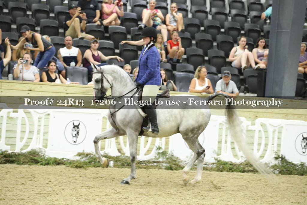Proof Number 24R13_17206