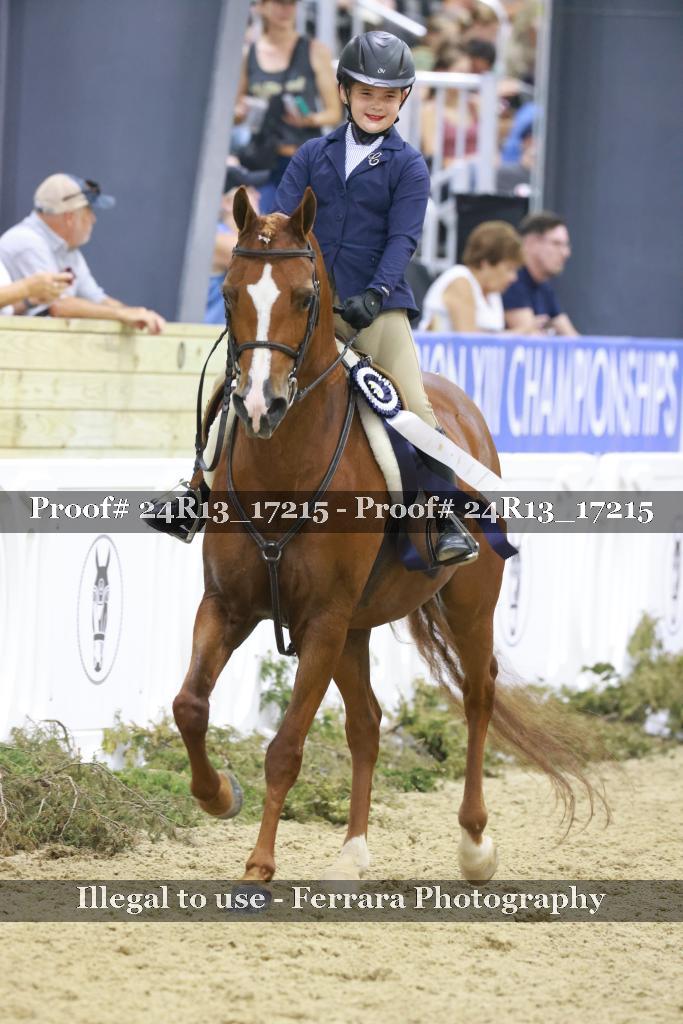 Proof Number 24R13_17215