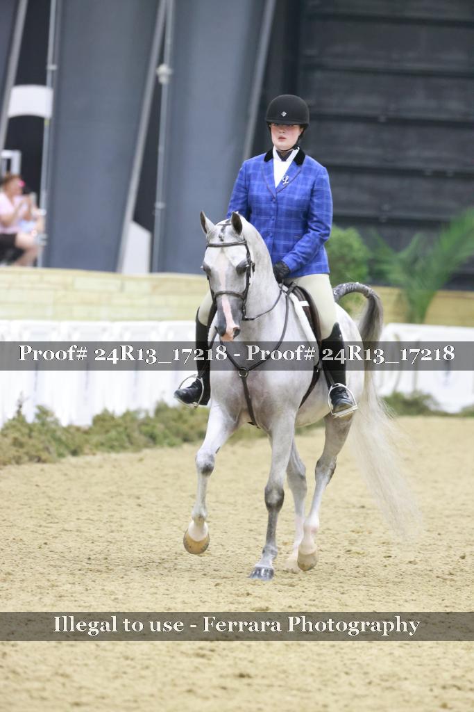 Proof Number 24R13_17218