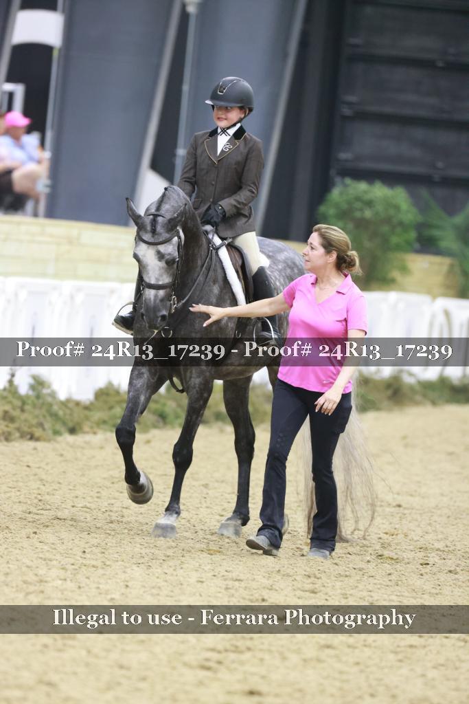 Proof Number 24R13_17239
