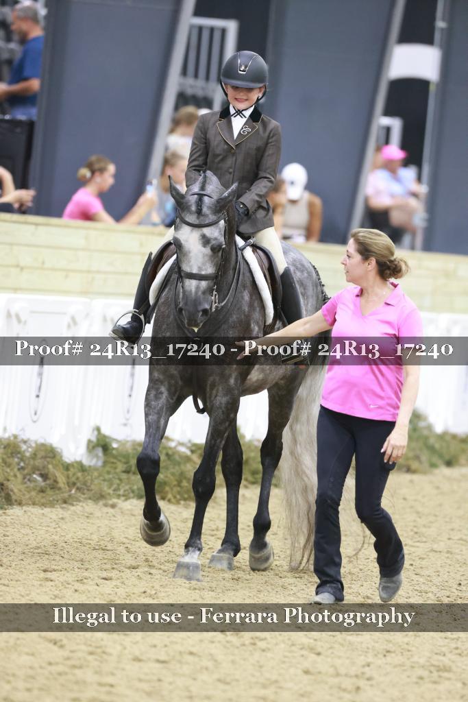 Proof Number 24R13_17240
